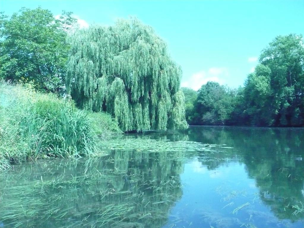 Le Havre De Bennecourt Bed & Breakfast Eksteriør bilde